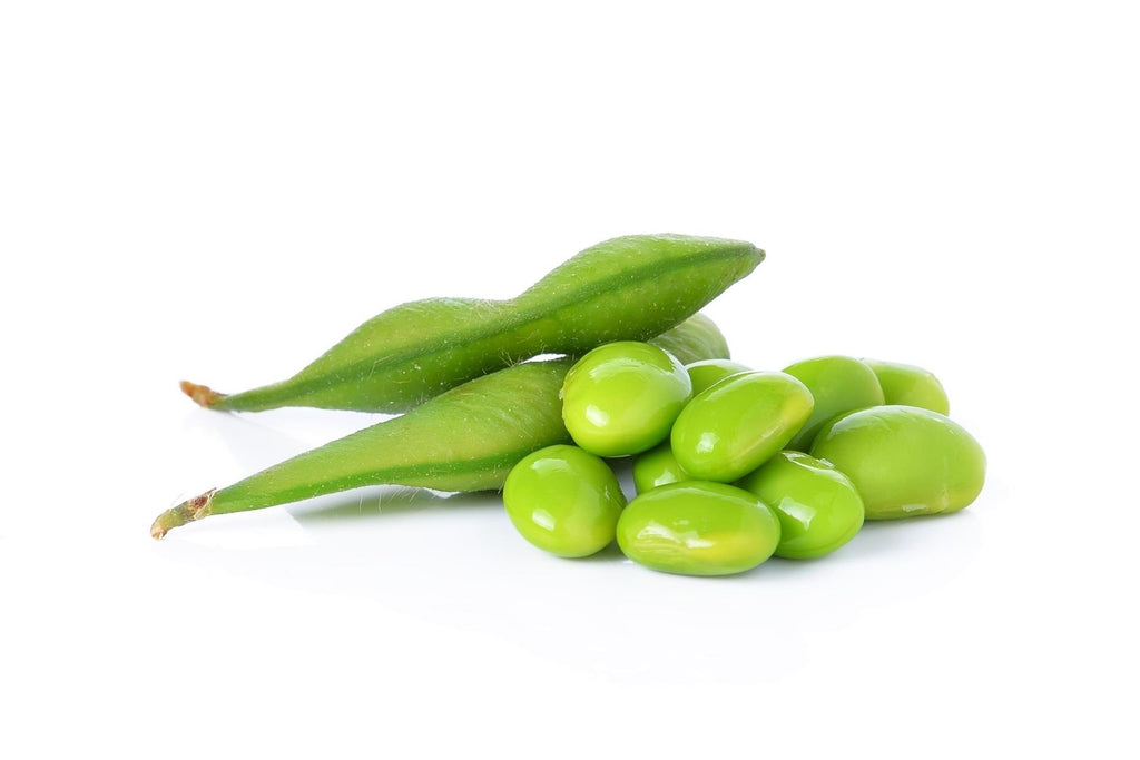 Is Edamame Beans Safe for Dogs?