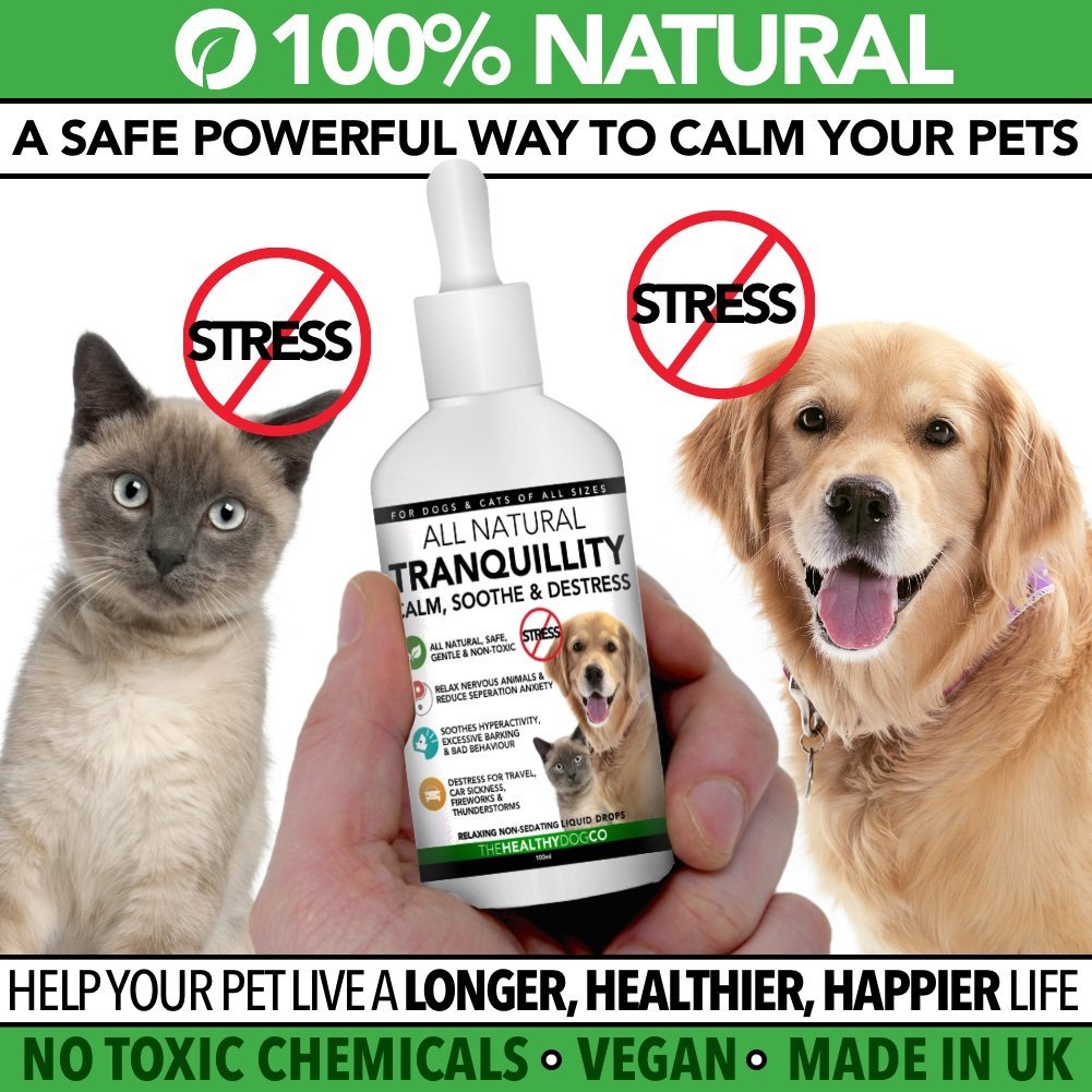 All Natural Tranquillity Dog Calming Drops