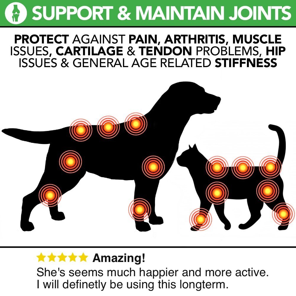 All Natural Happy Joint - Joint Care For Dogs & Cats