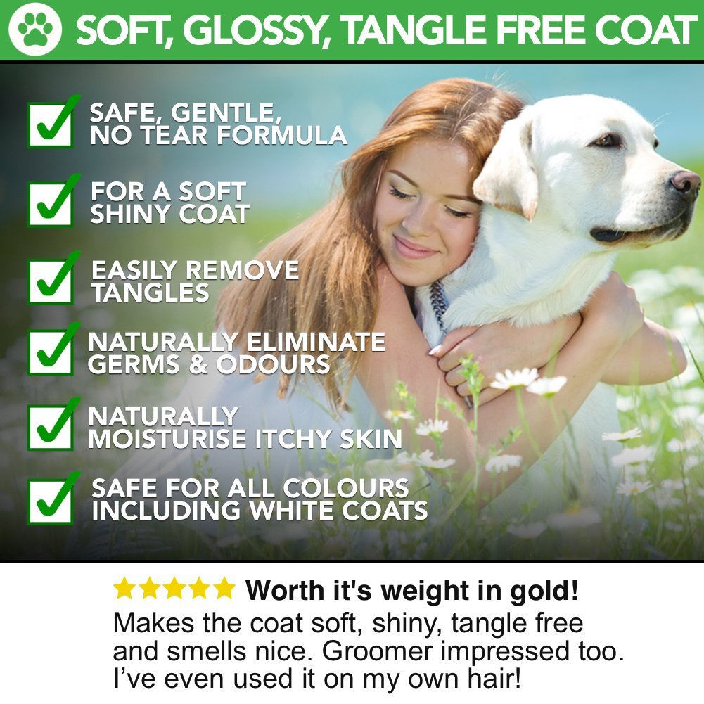6 in 1 All Natural Dog Shampoo & Conditioner