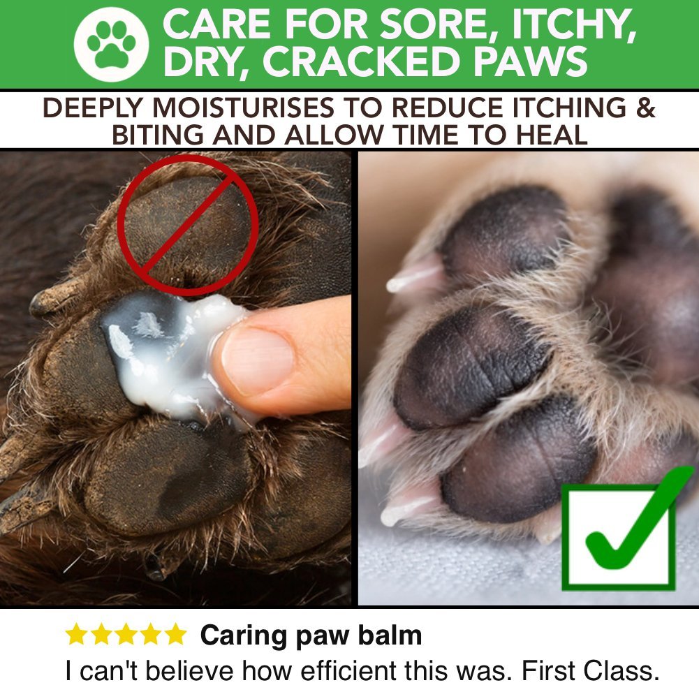 Natural Skin Care, Nose Cream, Paw Balm For Dogs And Cats - The Healthy Dog Co