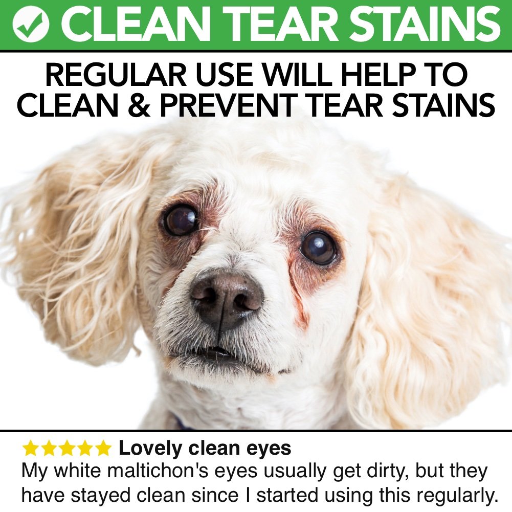 All Natural Eye Drops For Dogs and Cats