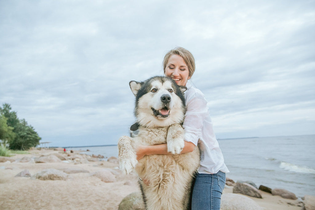 Caring for Big Dogs