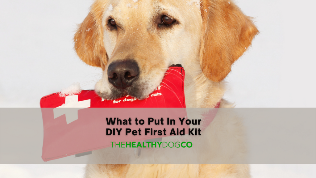 What to Put In Your DIY Pet First Aid Kit