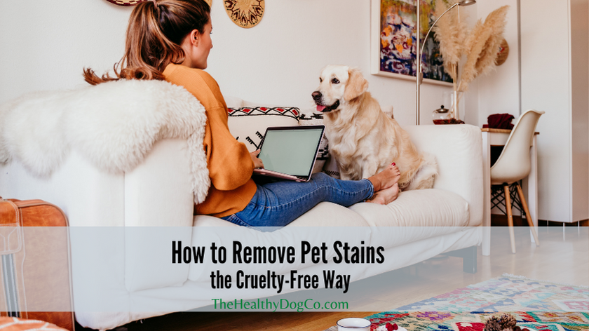 How to Remove Pet Stains the Cruelty-Free Way