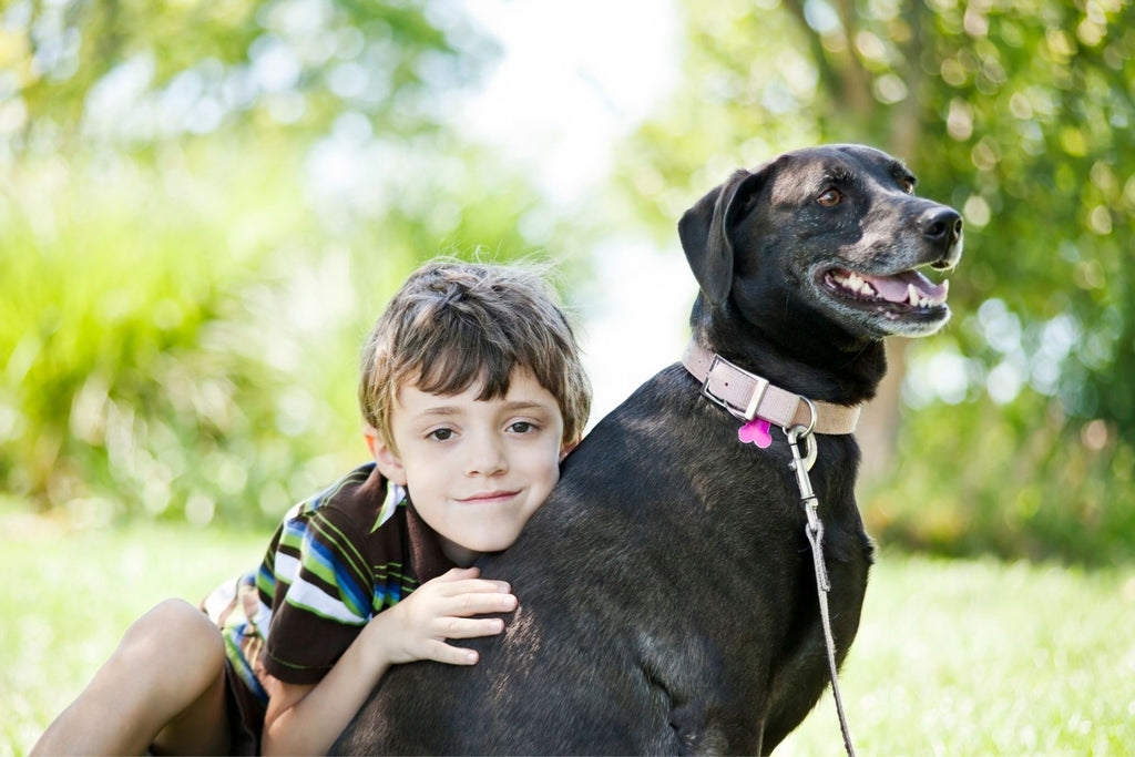 Is It Ever Okay to Hug Your Dog?