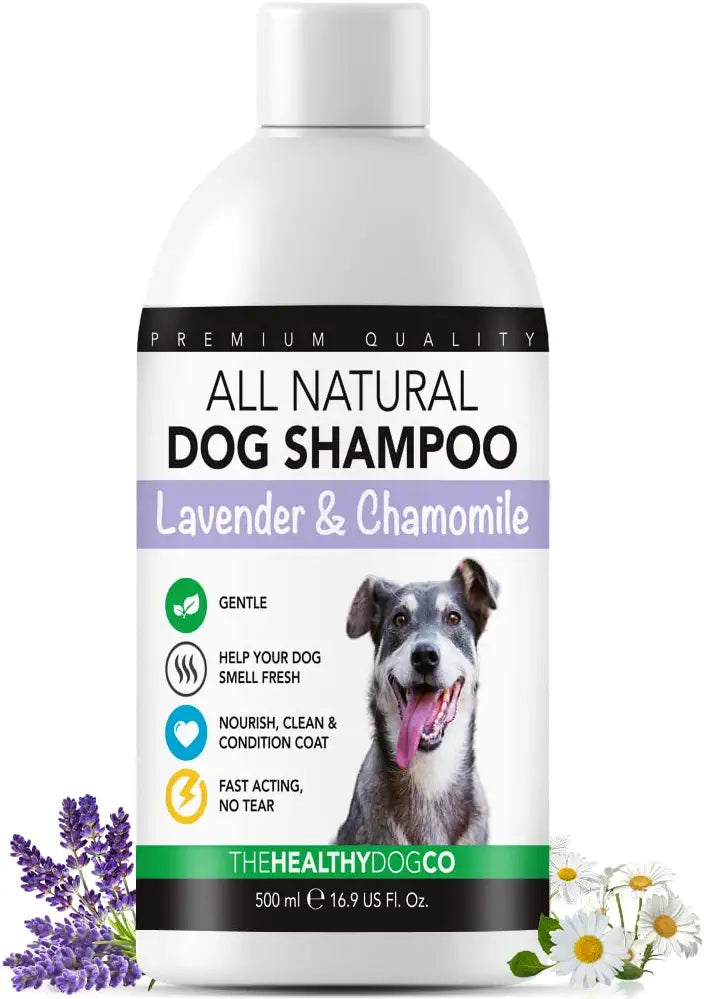 The Healthy Dog Co All - Natural Dog Shampoo & Conditioner - Lavender and Chamomile