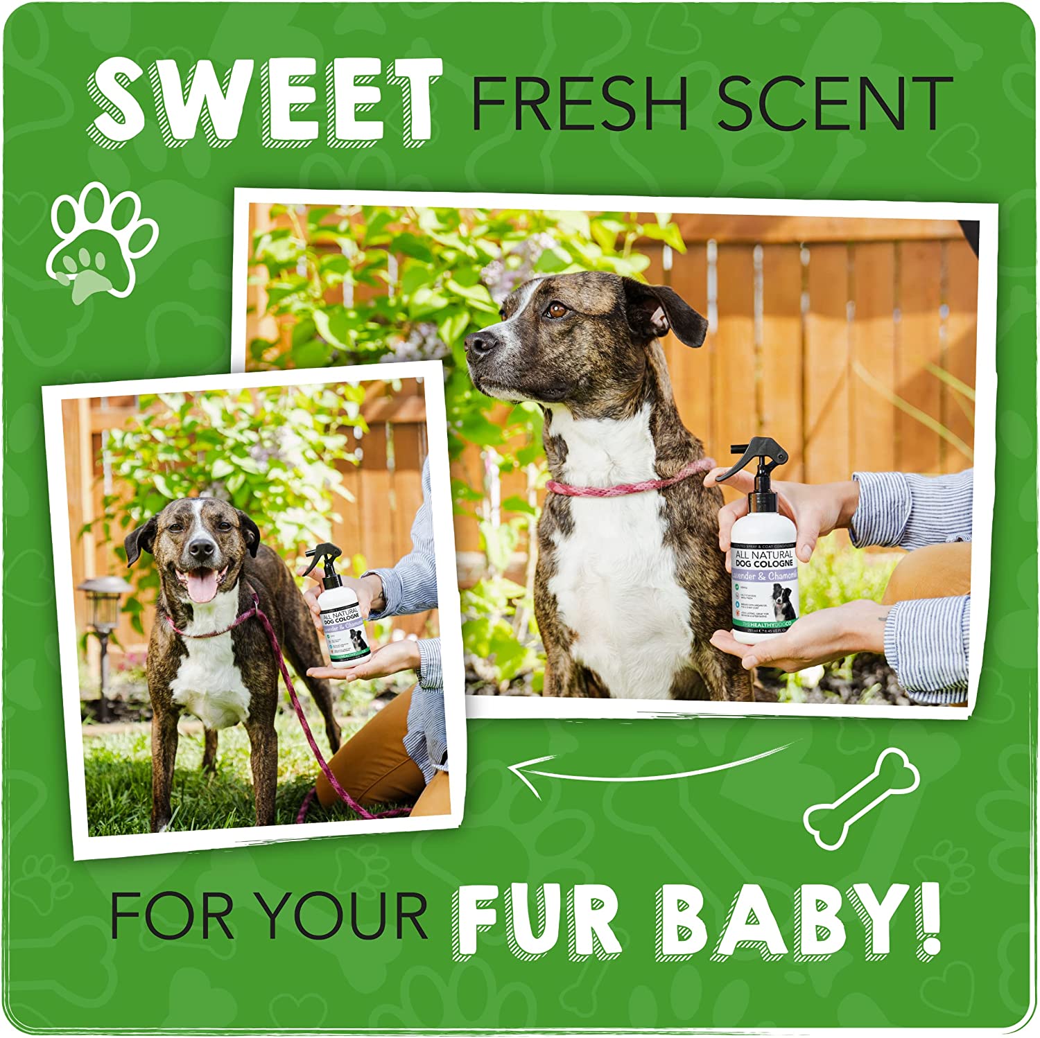The Healthy Dog Co - Dog Perfume Spray - Lavender and Chamomile