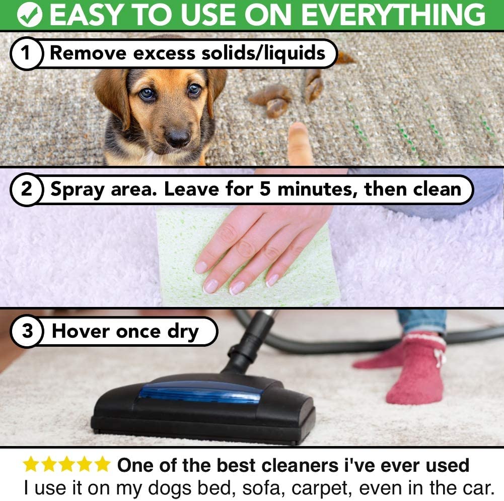 All Natural Dog Carpet Stain Odour Remover The Healthy Dog Co