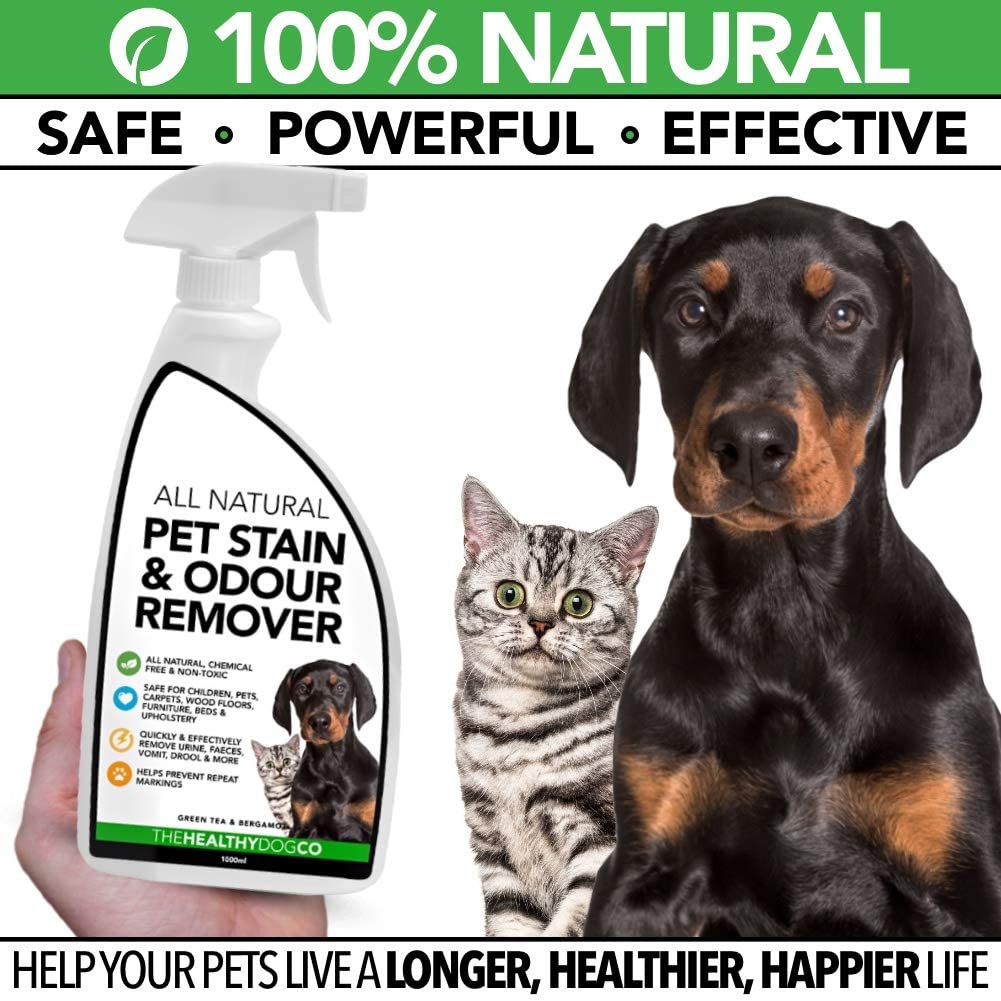 Détachant naturel de taches et d'odeurs pour chiens et chats
