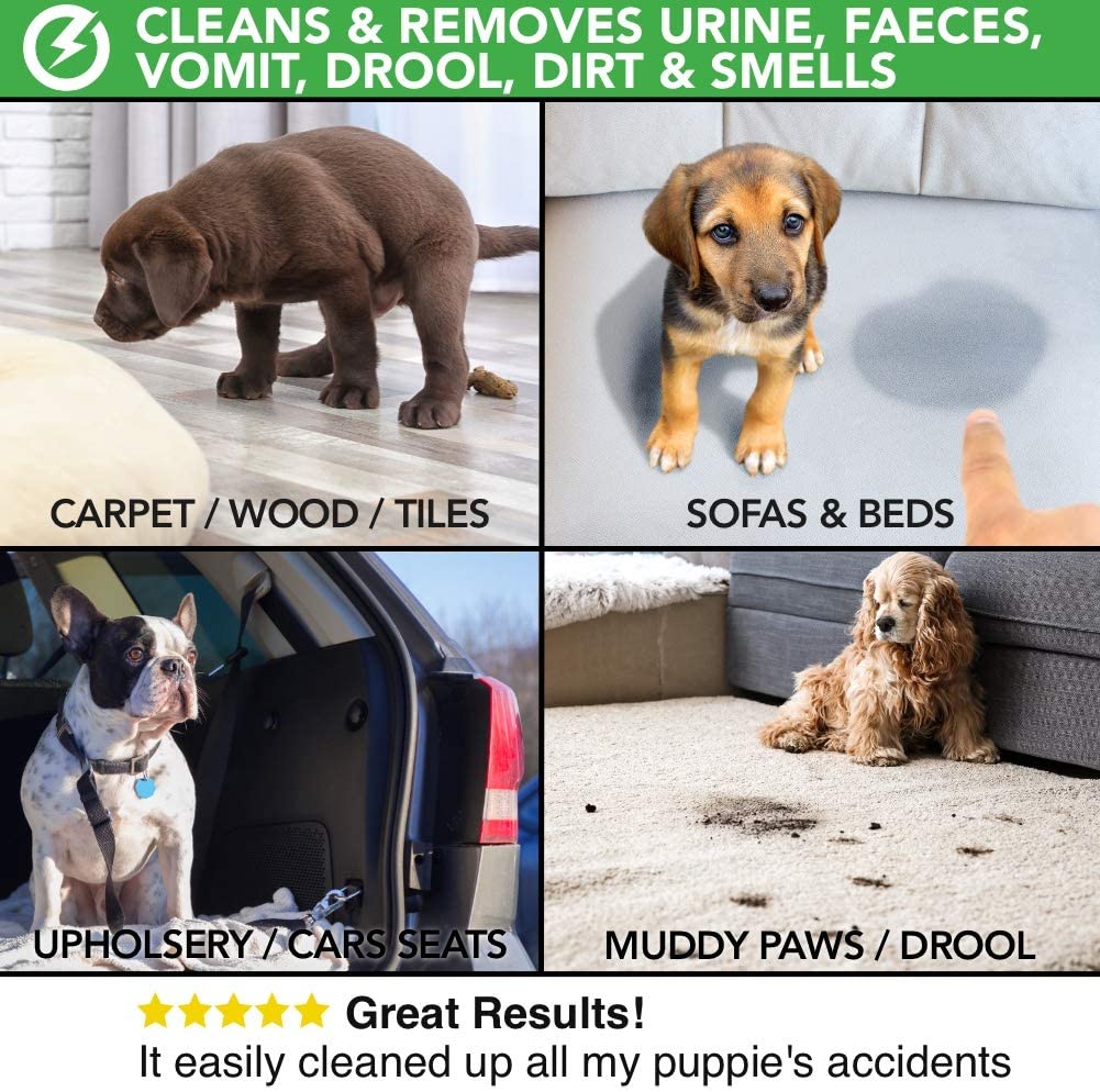 Détachant naturel de taches et d'odeurs pour chiens et chats