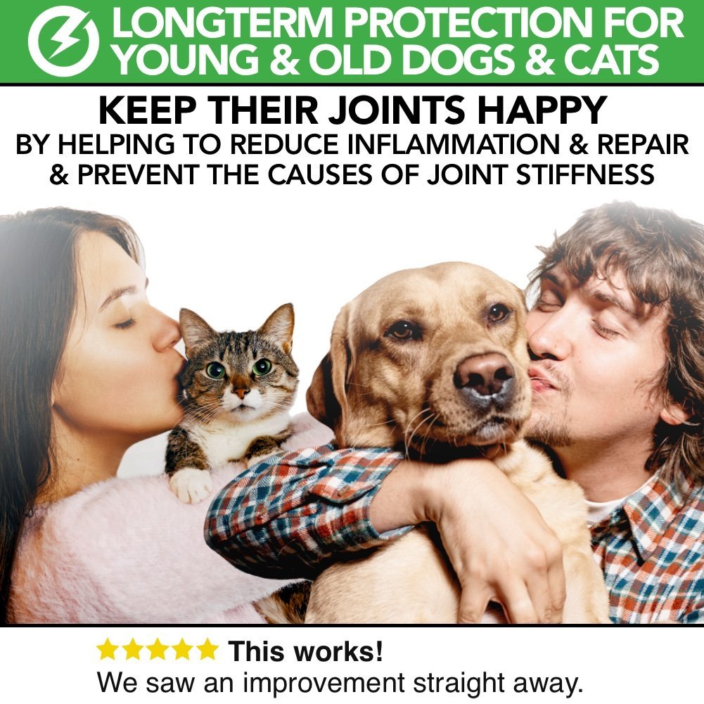 Natürlicher Gelenkschutz für Hunde und Katzen