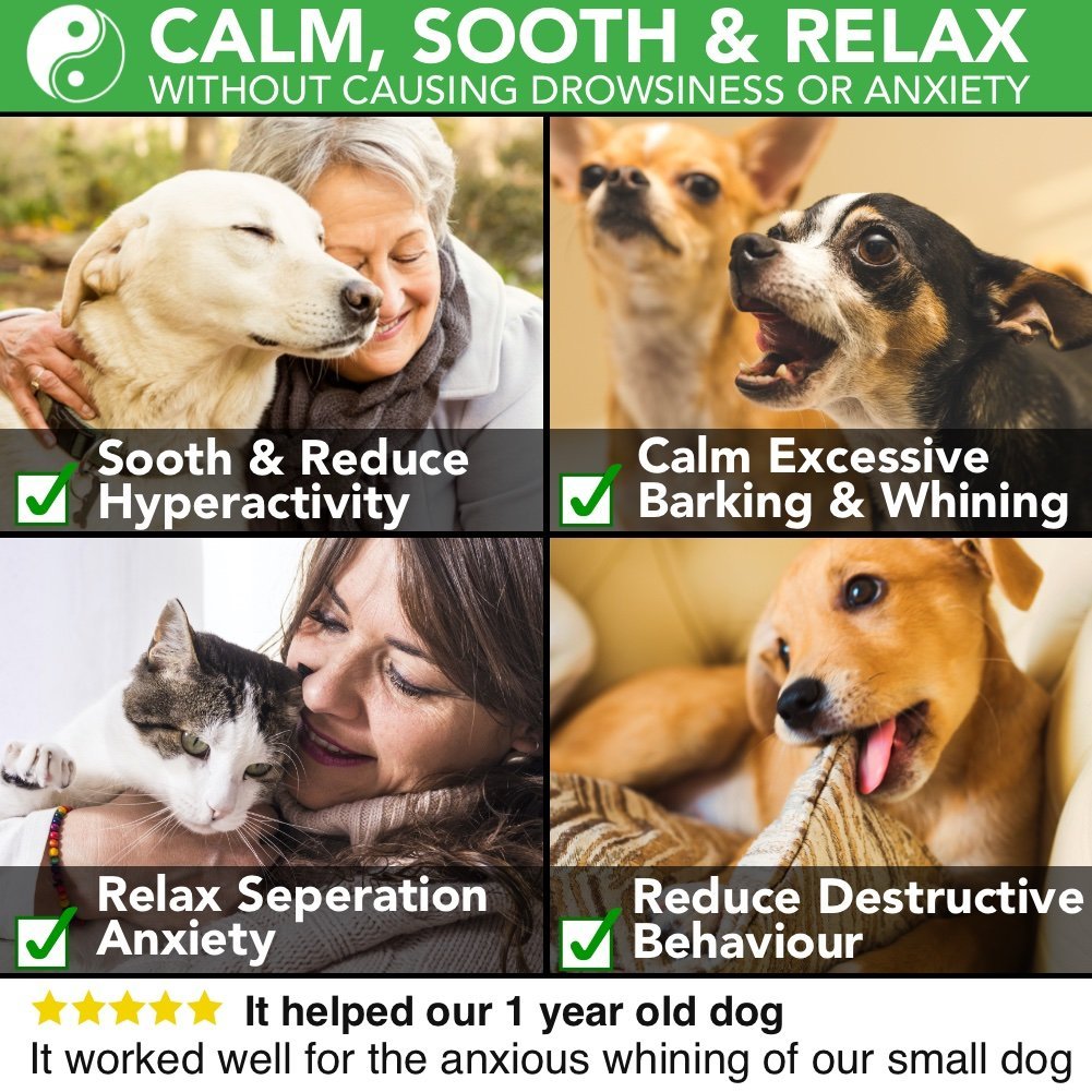 Gouttes calmantes pour chien Tranquillity All Natural