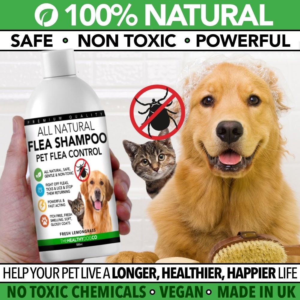 Natürliches Flohshampoo für Hunde - The Healthy Dog Co