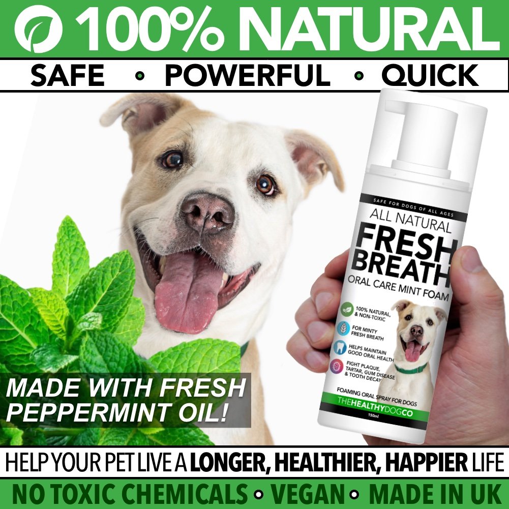 All Natural Dog Breath Freshener