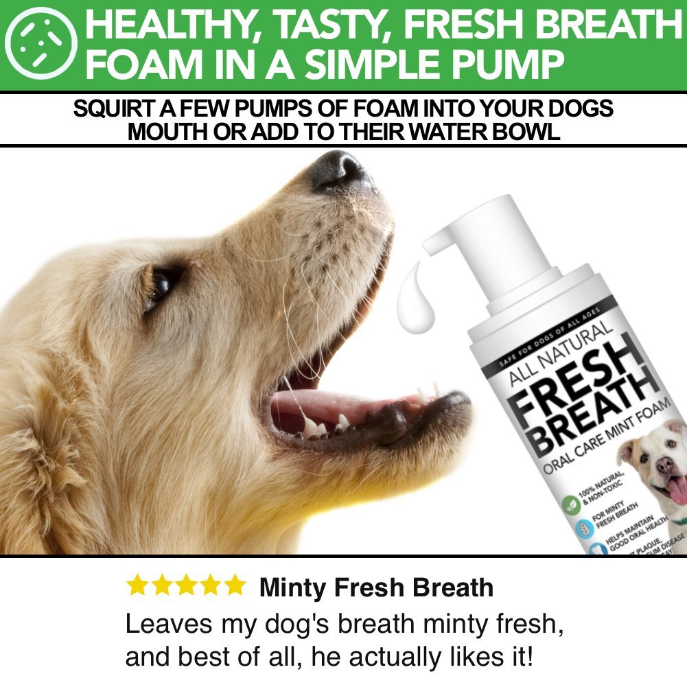 Deodorante per l'alito del cane tutto naturale