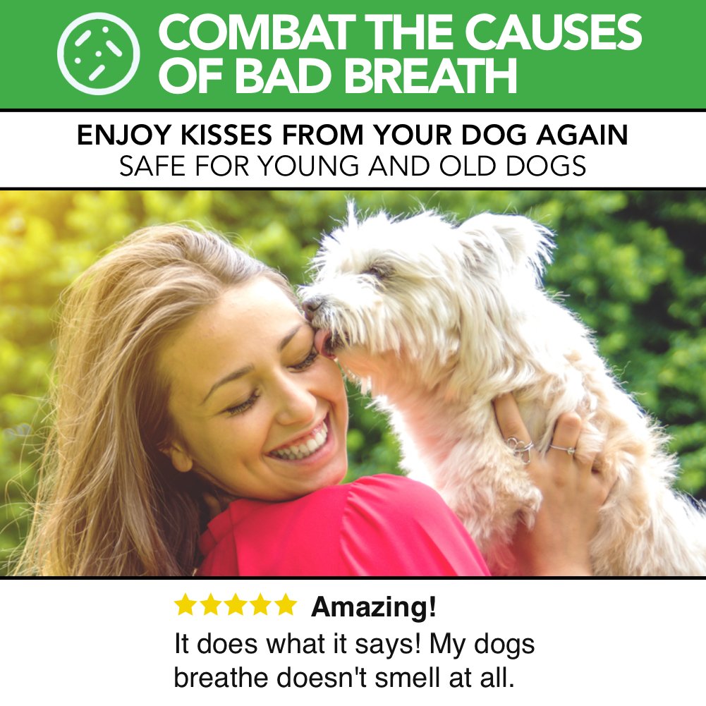 Deodorante per l'alito del cane tutto naturale