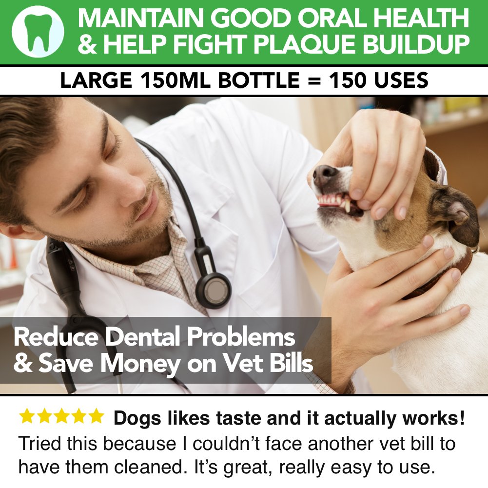 Deodorante per l'alito del cane tutto naturale