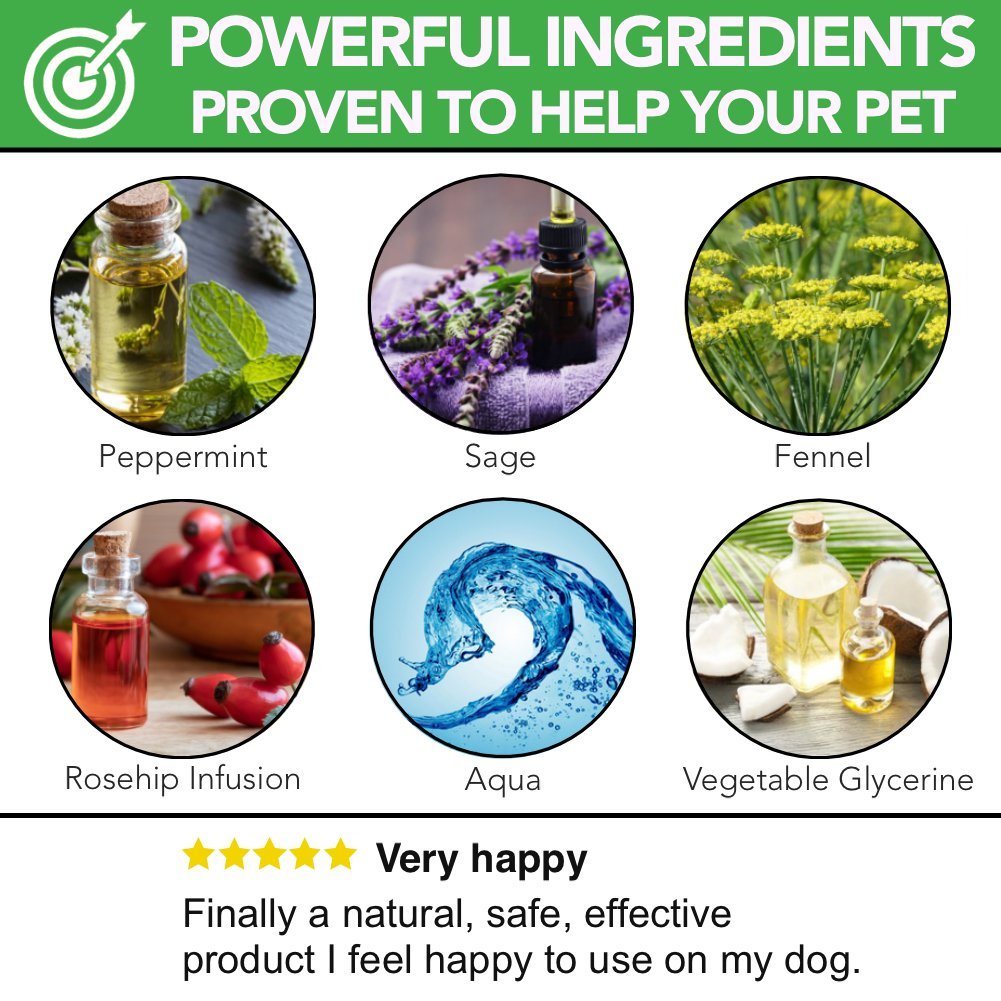 All Natural Dog Breath Freshener