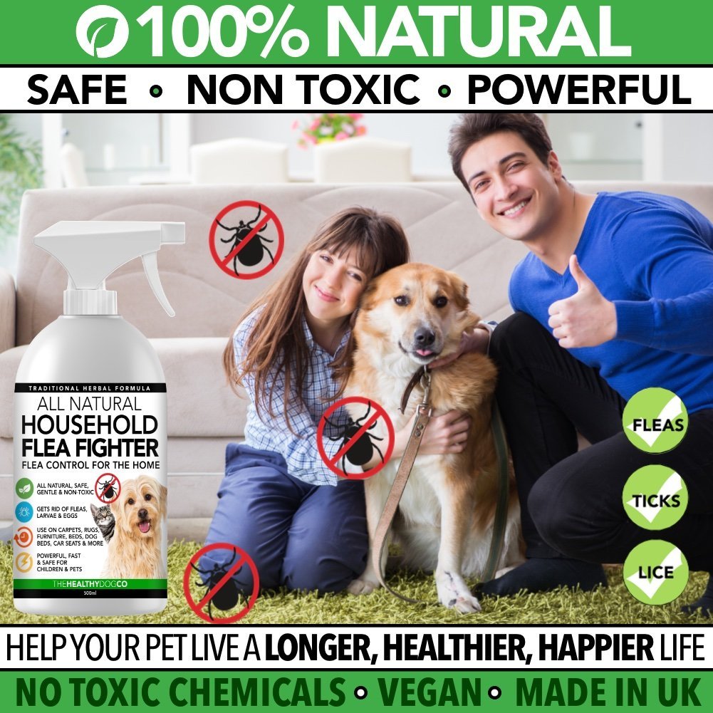 All Natural Household Flea Fighter