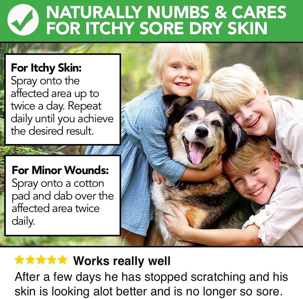 All Natural Itch Skin & Minor Wound Spray for Dogs by The Healthy Dog Co