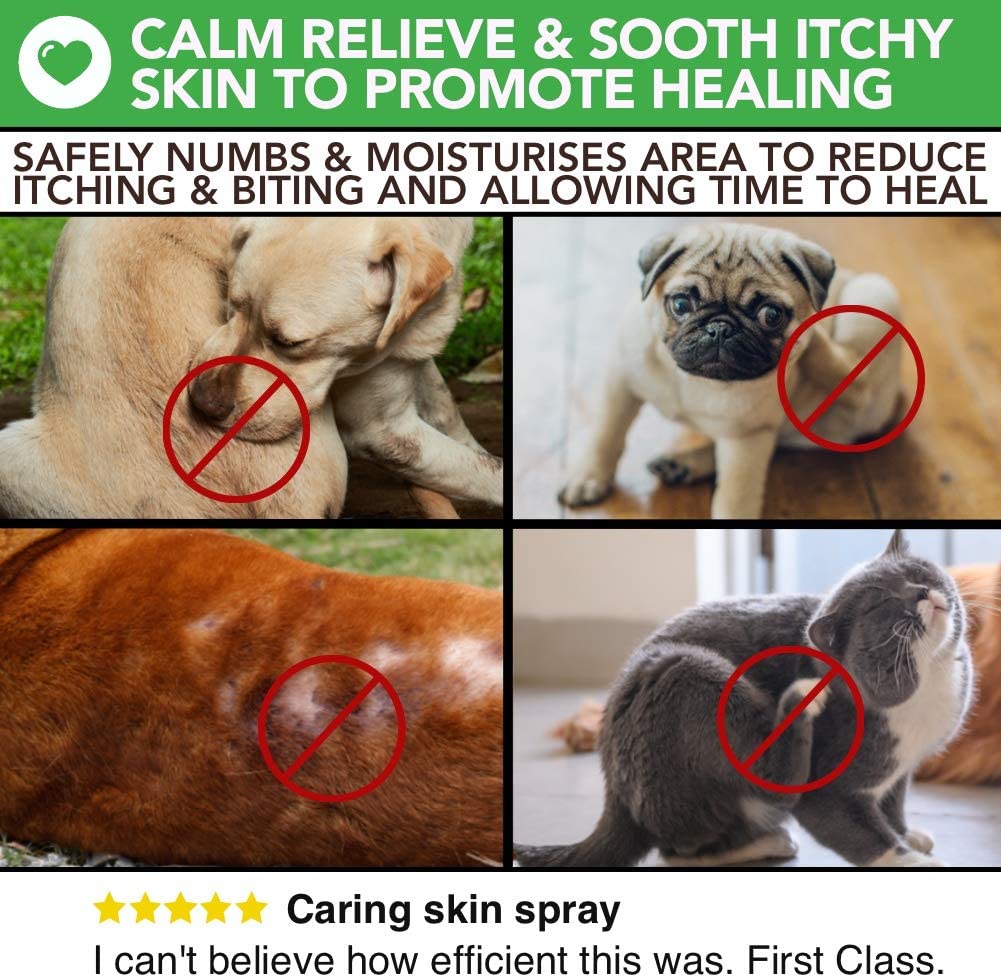 Natural Itchy Skin and Minor Wound Care from The Healthy Dog Co