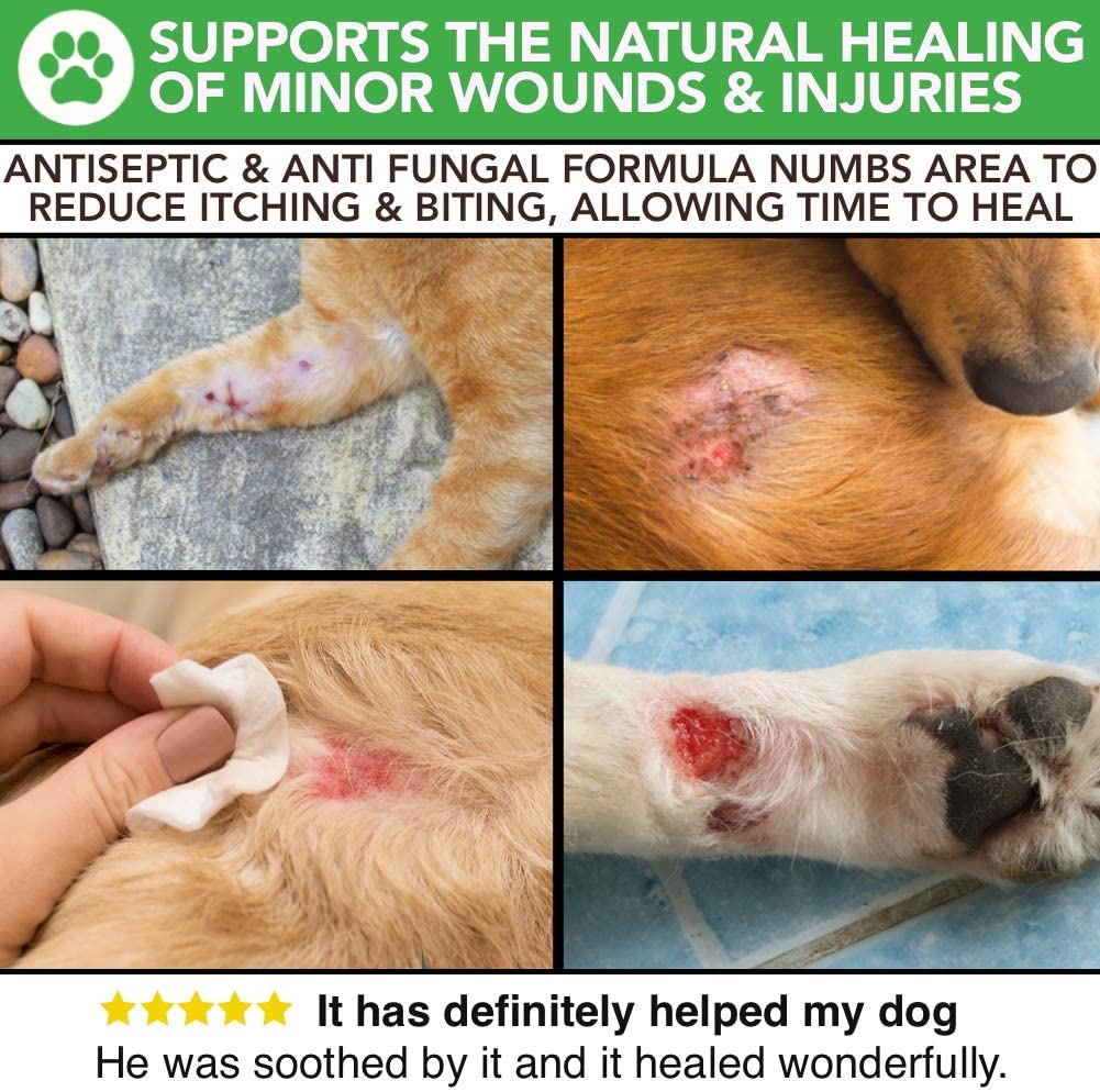 All Natural Itchy Skin and Minor Wound Care Spray The Healthy Dog Co