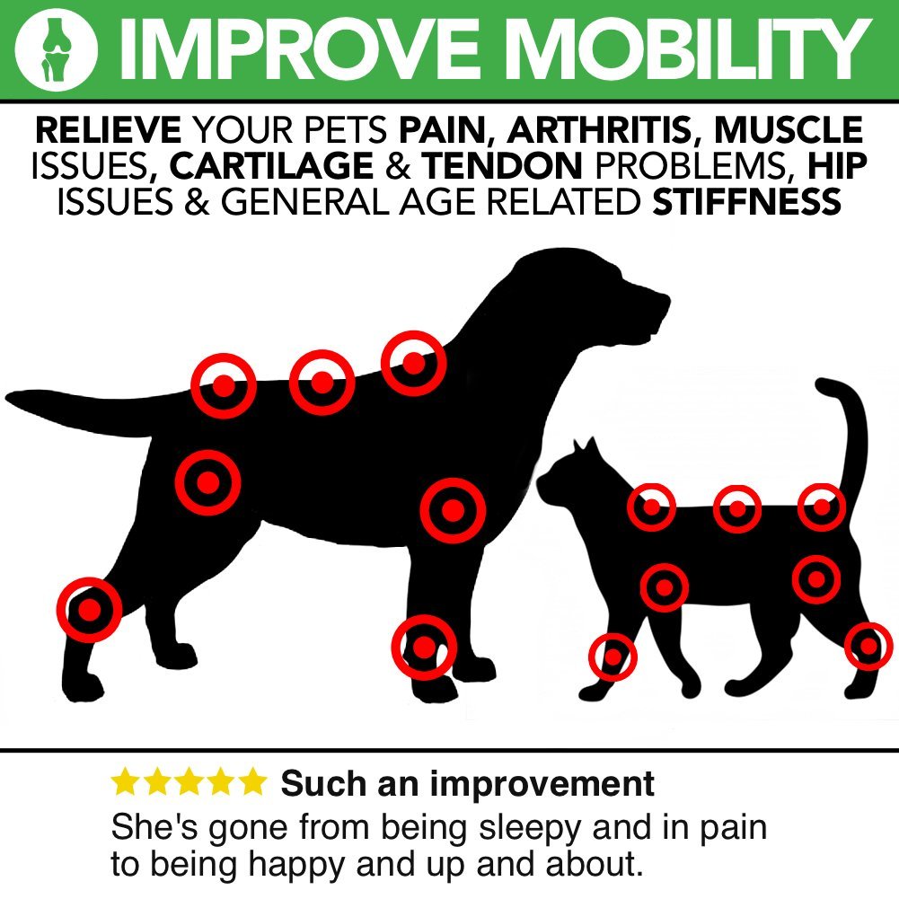 All-Natural Joint Care For Dogs And Cats - Health & Mobility - By The Healthy Dog Co