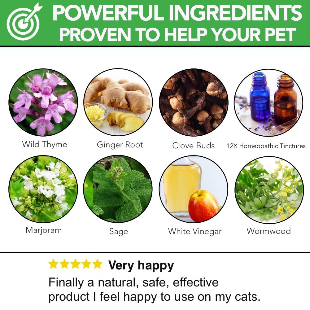 All Natural Intestinal Support 2 Year Supply Cats & Dogs