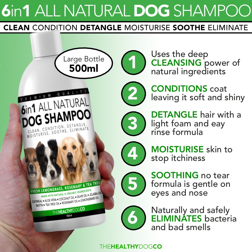 6 in 1 Natürliches Hundeshampoo & Spülung 