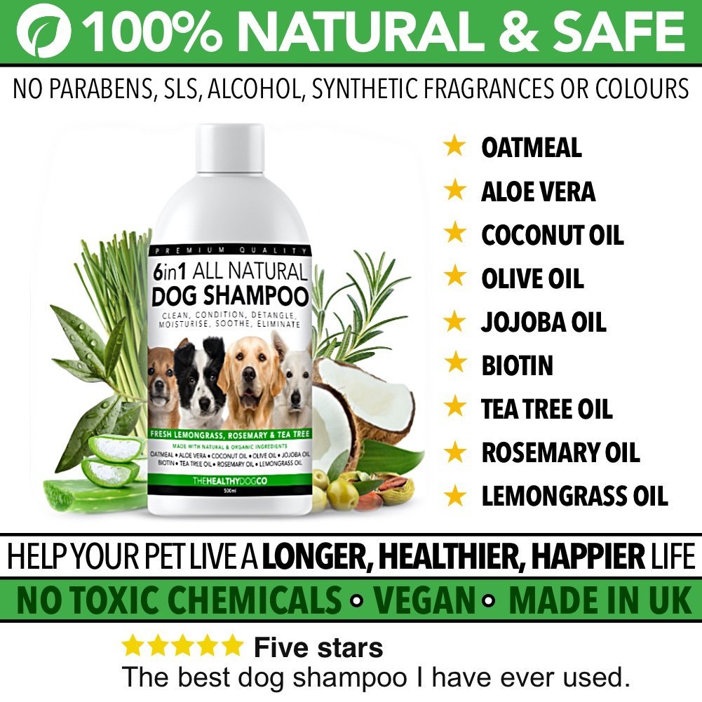 All Natural Dog Shampoo Conditioner No Nasties The Healthy Dog Co