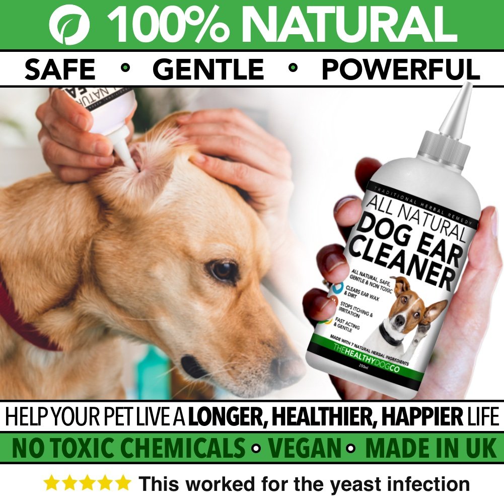 Tutto il detergente naturale per le orecchie del cane