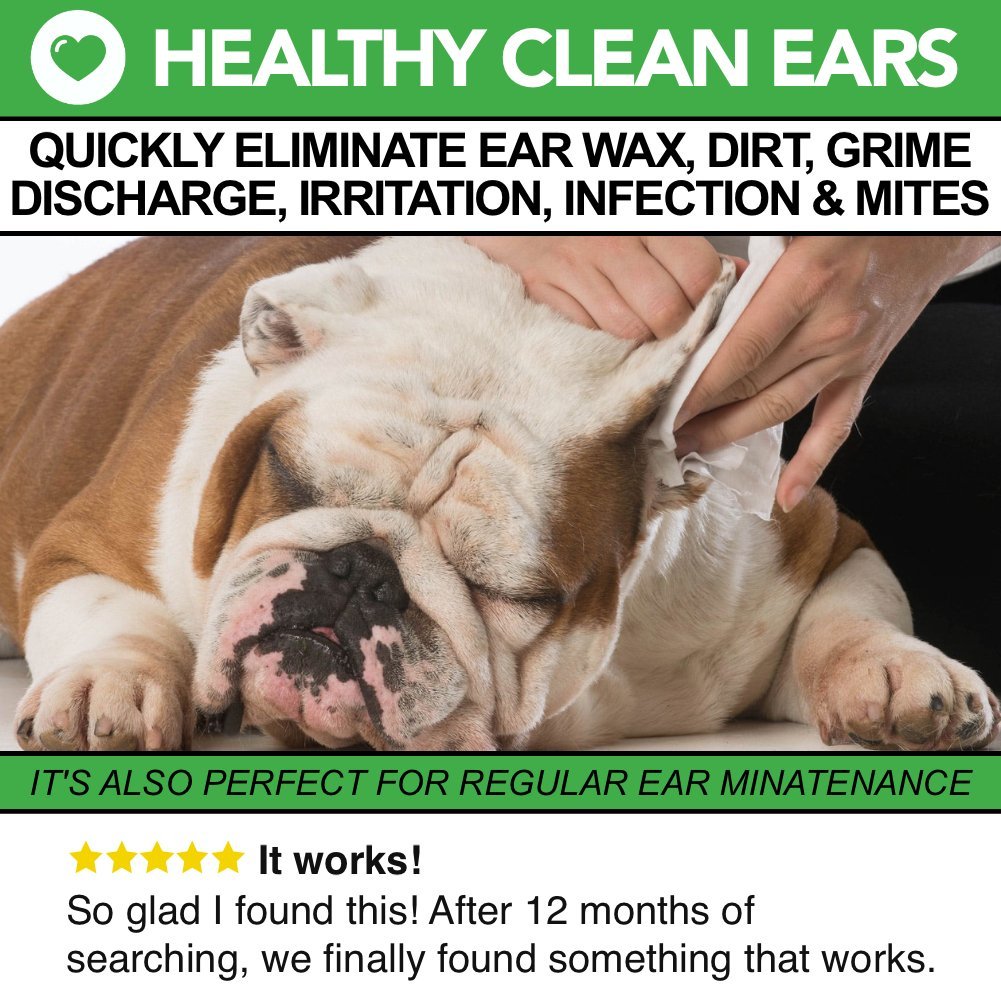 Limpiador de orejas para perros totalmente natural