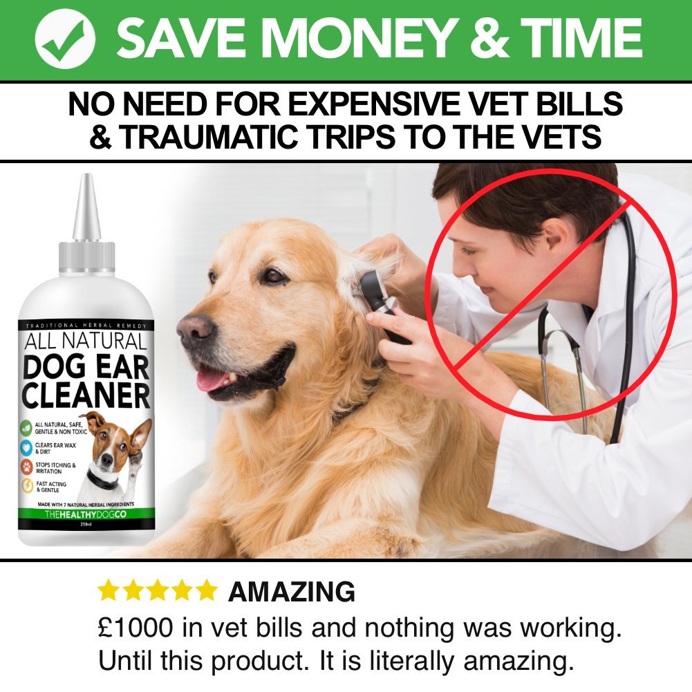 Nettoyant naturel pour oreilles de chiens