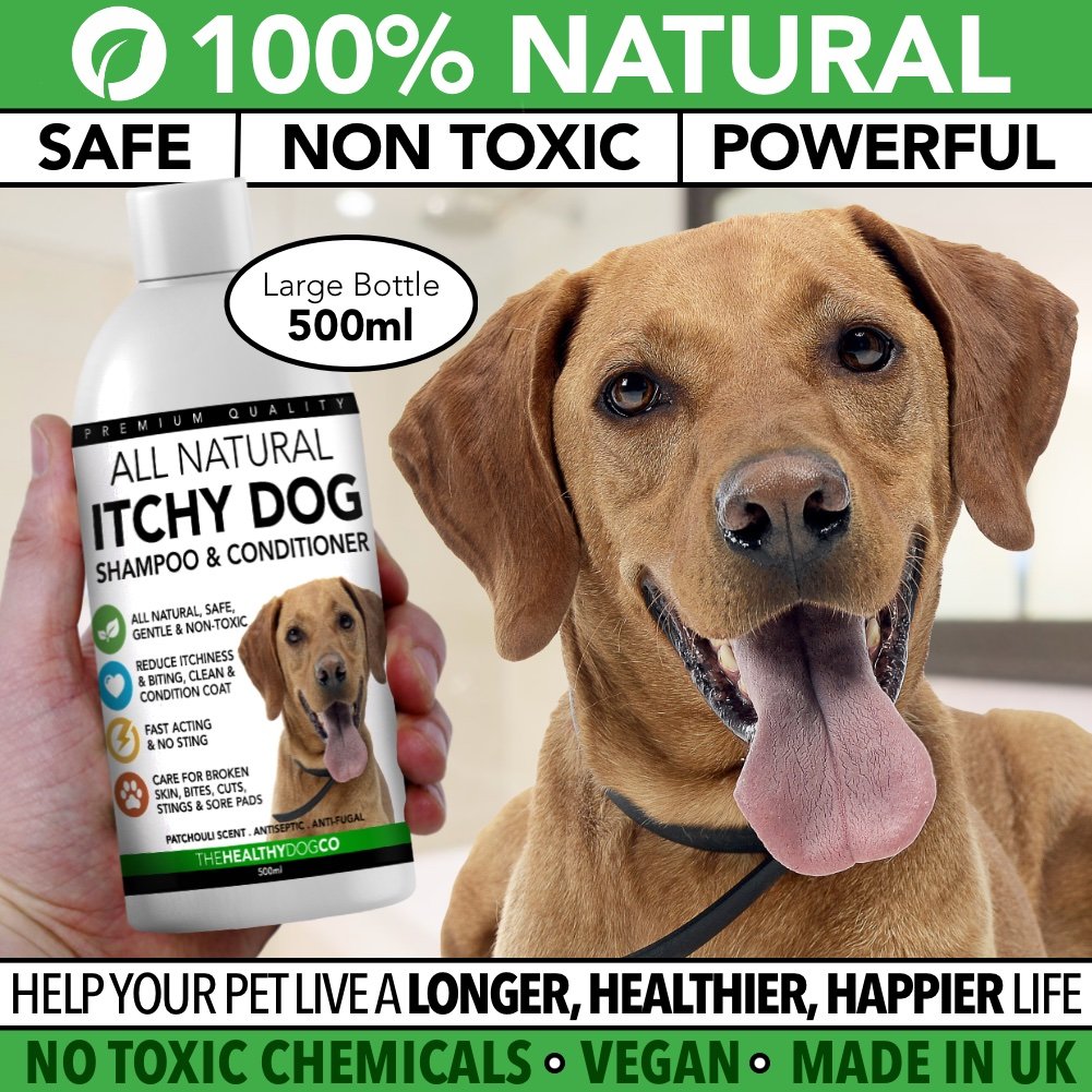 Natürliches Shampoo und Conditioner für Hunde mit Juckreiz