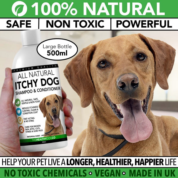 Dog Shampoo For Itchy Skin Dry Sensitive Flaky Skin The Healthy