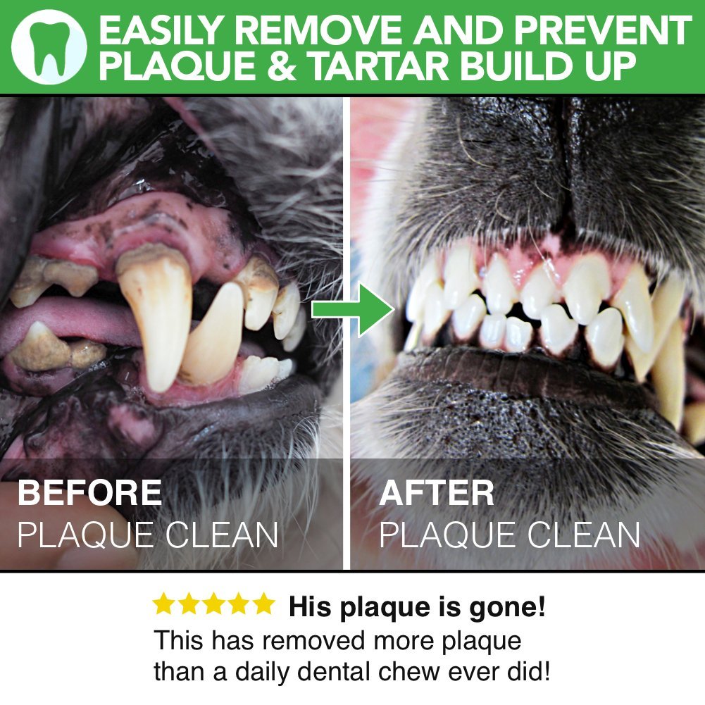 All-Natural Plaque Clean For Dogs - The Healthy Dog Co
