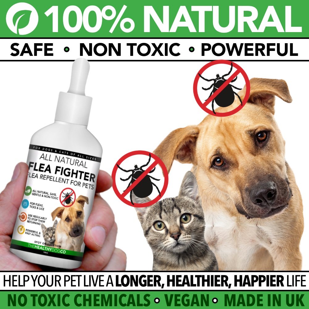 Tutto il trattamento naturale delle pulci per cani e gatti