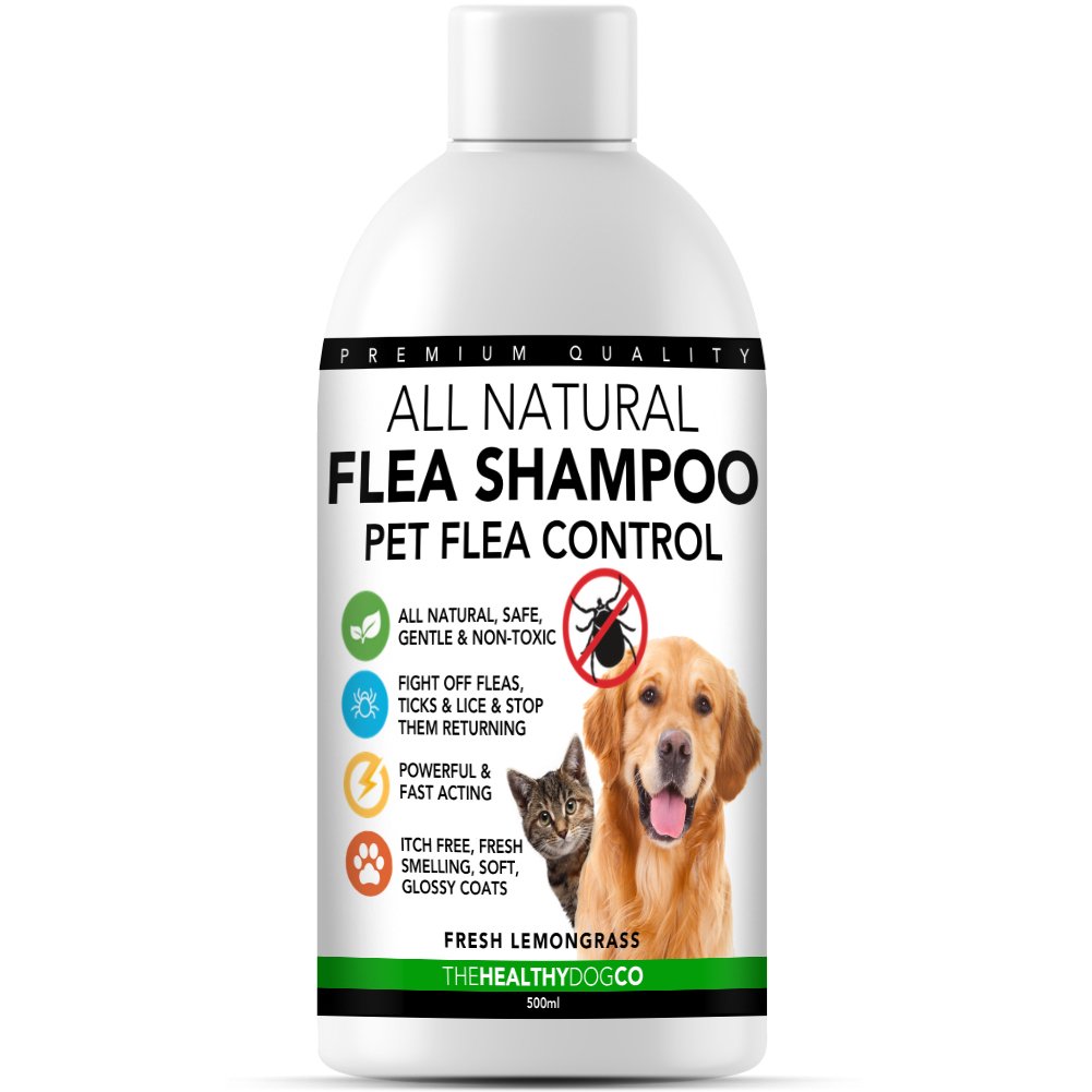 All-Natural Flea Shampoo - Flea Control - The Healthy Dog Co