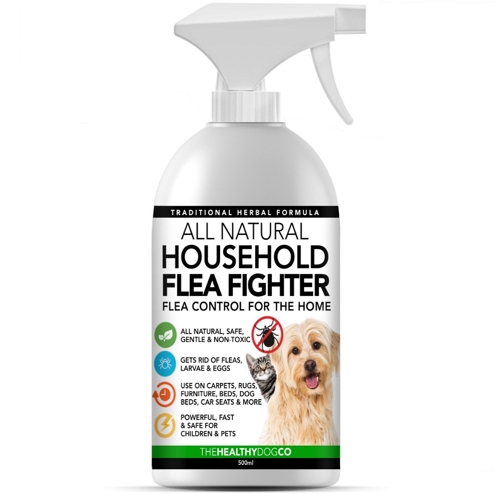 All-Natural Household Flea Fighter - The Healthy Dog Co