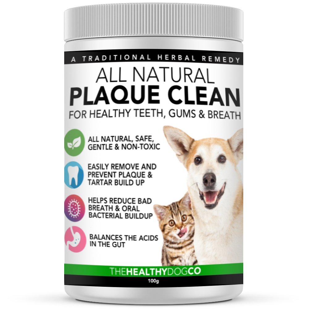 All-Natural Plaque Clean For Dogs - The Healthy Dog Co