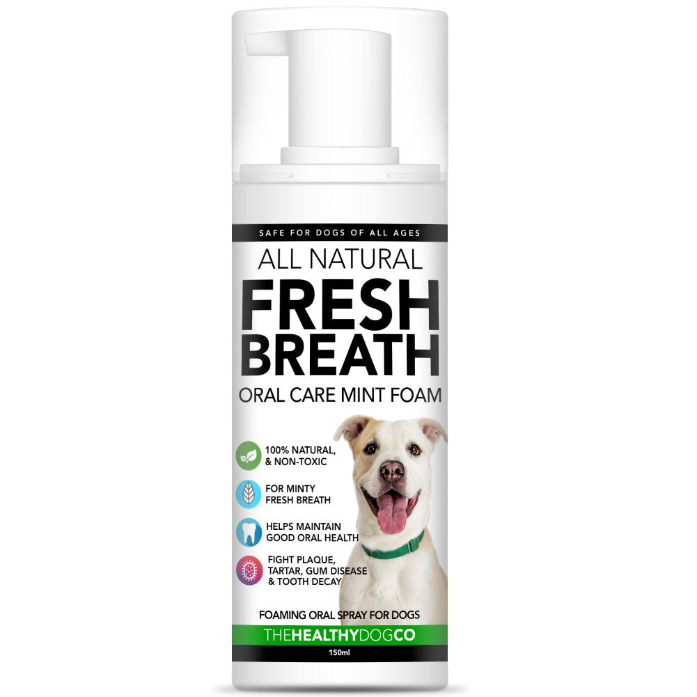 Fresh Breath Foam For Dogs - The Healthy Dog Co