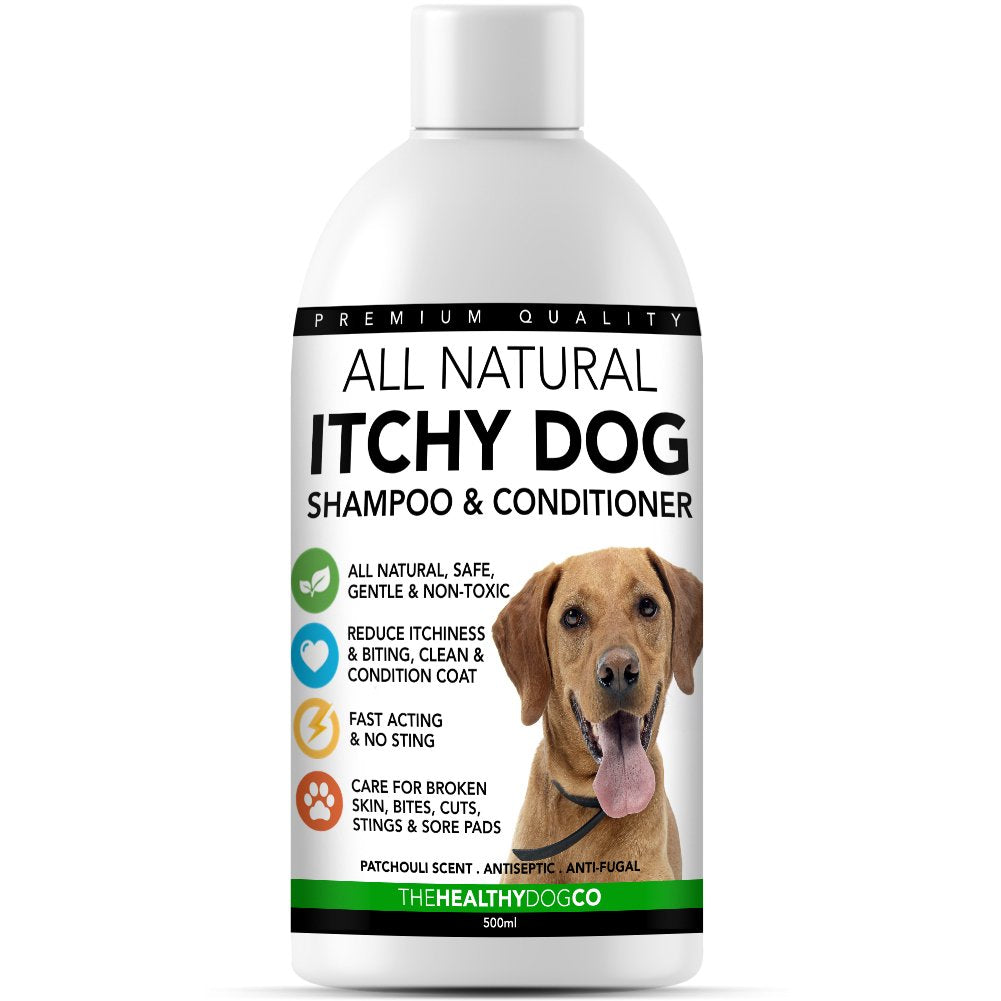 Natürliches Shampoo und Conditioner für Hunde mit Juckreiz