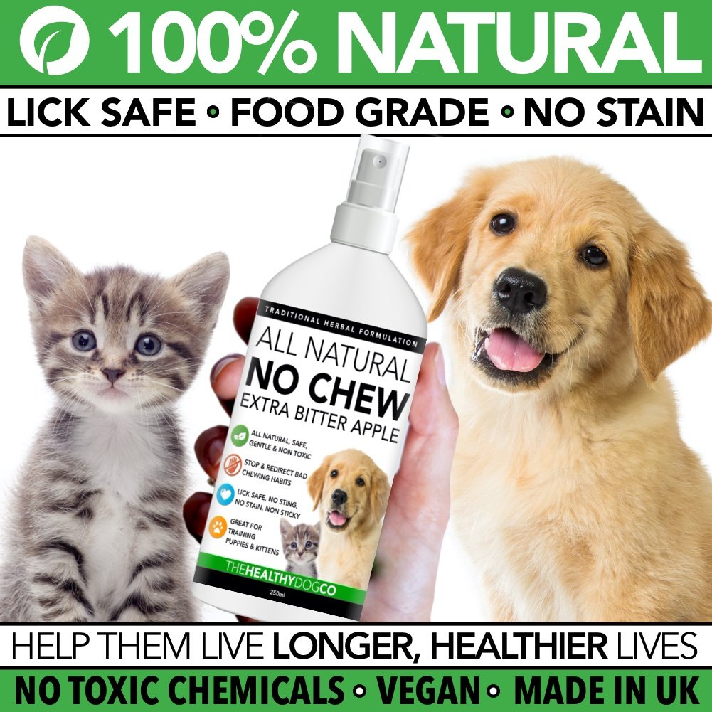 Spray anti-morsure pour chien tout naturel - Spray à la pomme amère pour chiens