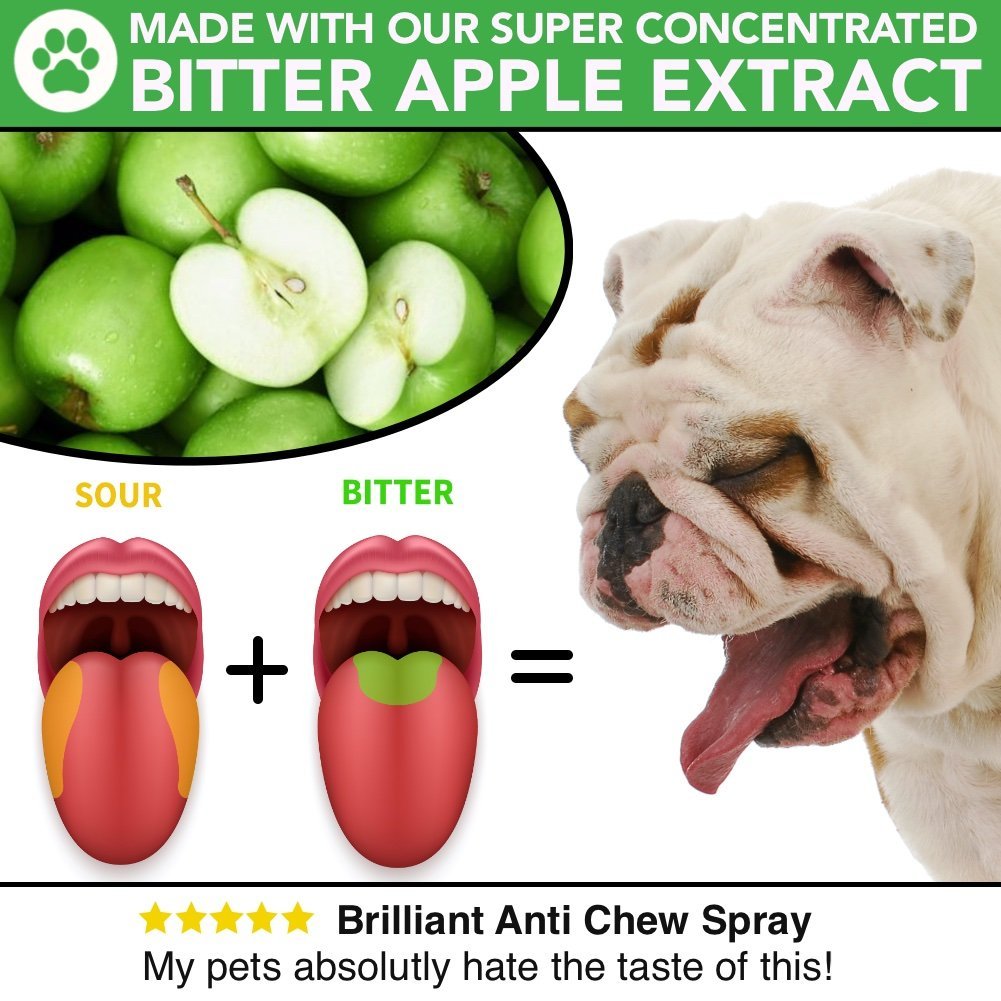 Spray anti-morsure pour chien tout naturel - Spray à la pomme amère pour chiens