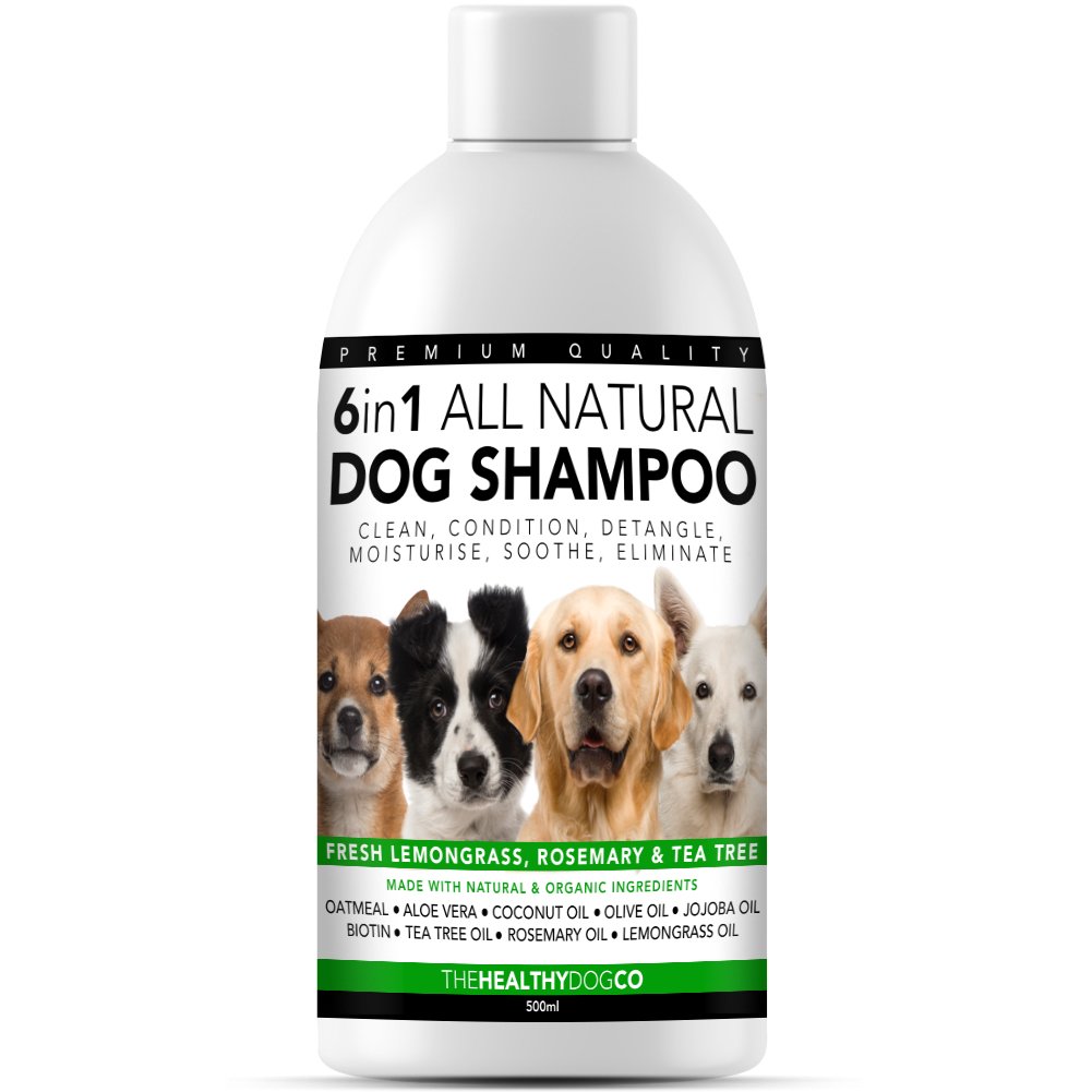 Shampooing et revitalisant pour chiens entièrement naturels 6 en 1