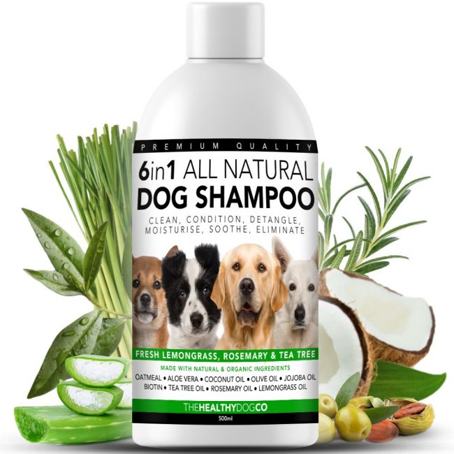 Shampooing entièrement naturel pour chien The Healthy Dog Co